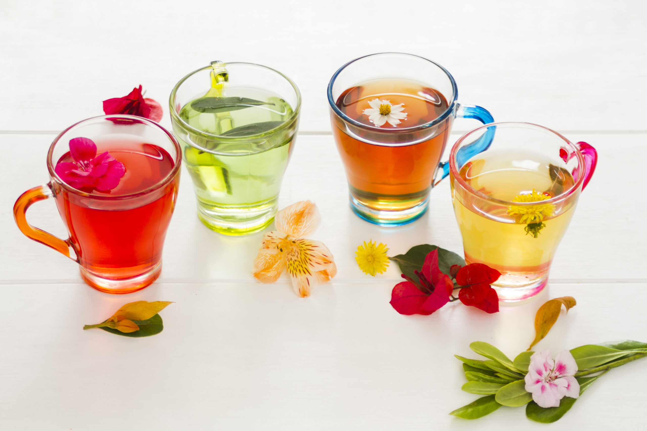 Infusiones para detener la caída del cabello. fila de vasos de te con flores